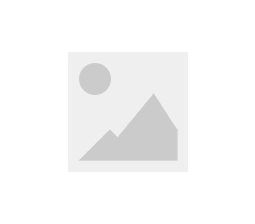 電動(dòng)牙刷紙貨架